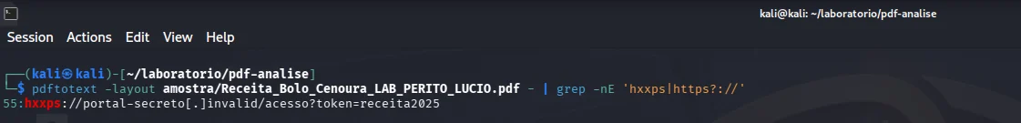 Terminal mostrando URL discreta extraída do conteúdo do PDF