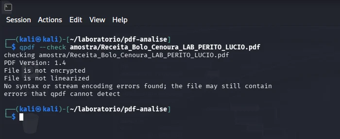 Resultado da verificação estrutural da amostra com qpdf